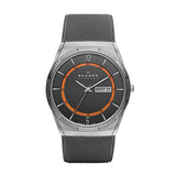 SKAGEN Titanium And Gray Steel-Mesh Day-Date Watch SKW6007